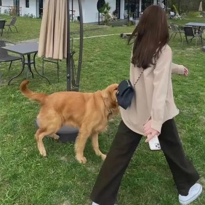 有妻出租